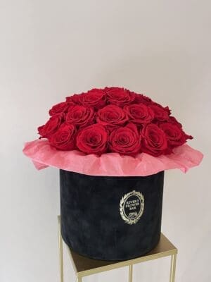 Longlife rozen box